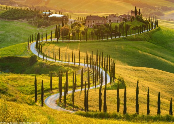 cypress-snakes-tuscany-leisure-bike-tour-guided.jpg
