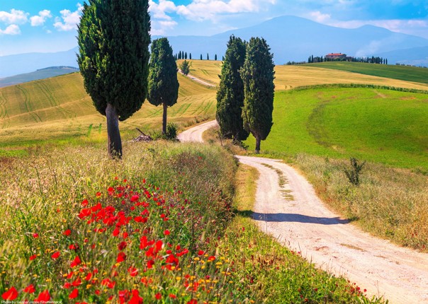 shutterstock_1314941429 copy.jpg